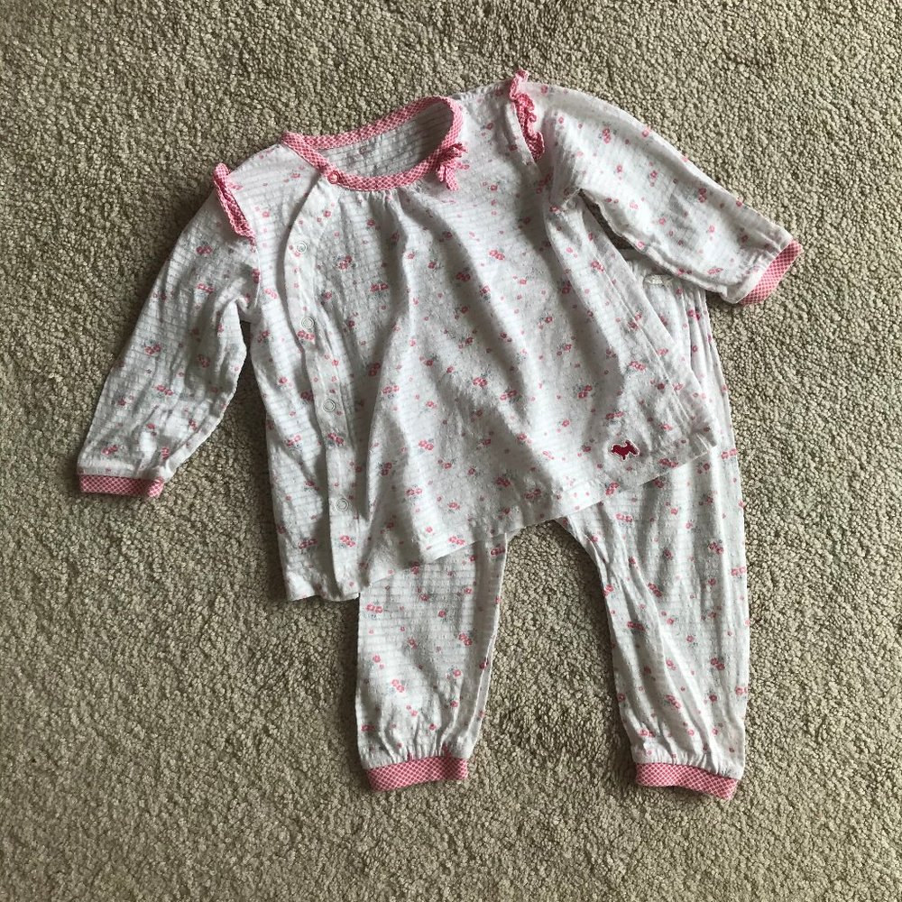 Blue Dog Matching Set